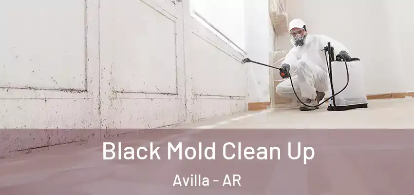 Black Mold Clean Up Avilla - AR