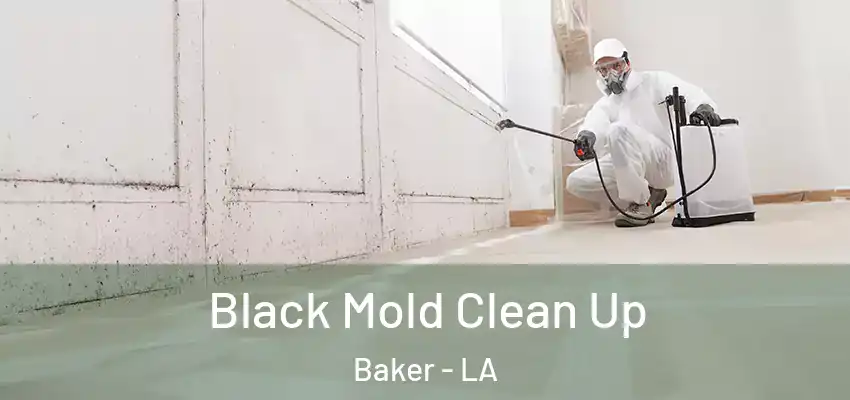 Black Mold Clean Up Baker - LA
