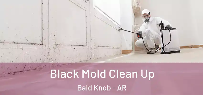  Black Mold Clean Up Bald Knob - AR