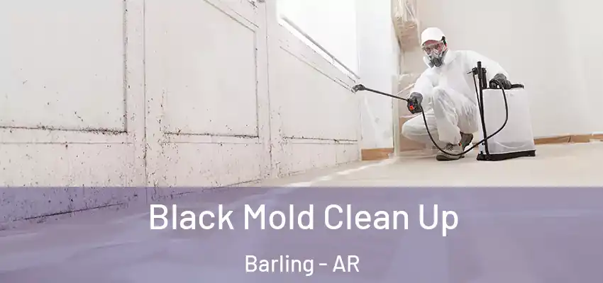  Black Mold Clean Up Barling - AR