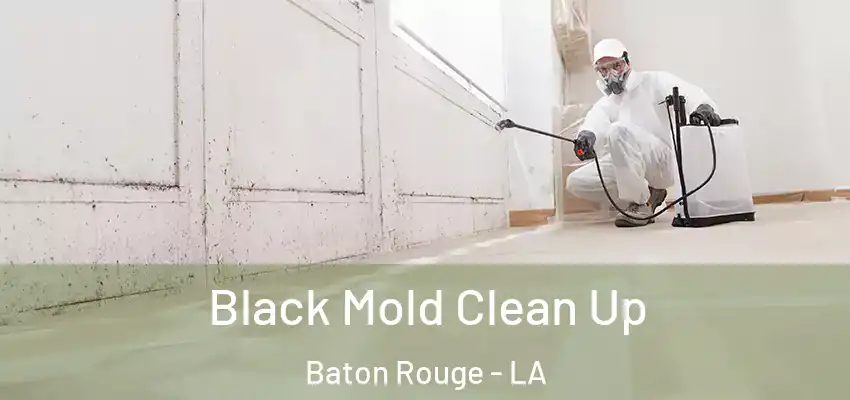  Black Mold Clean Up Baton Rouge - LA
