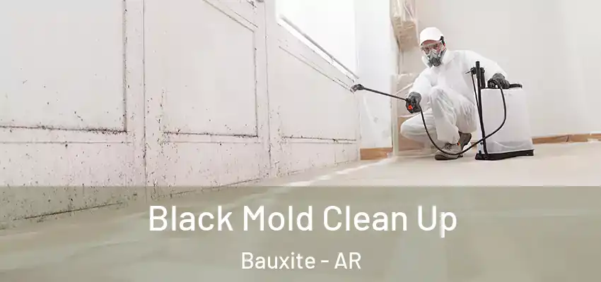 Black Mold Clean Up Bauxite - AR
