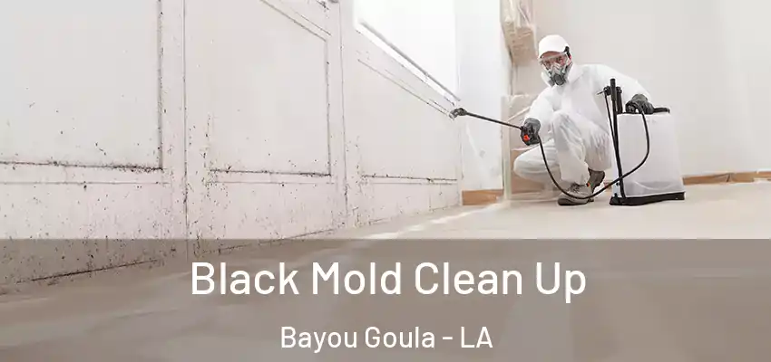  Black Mold Clean Up Bayou Goula - LA