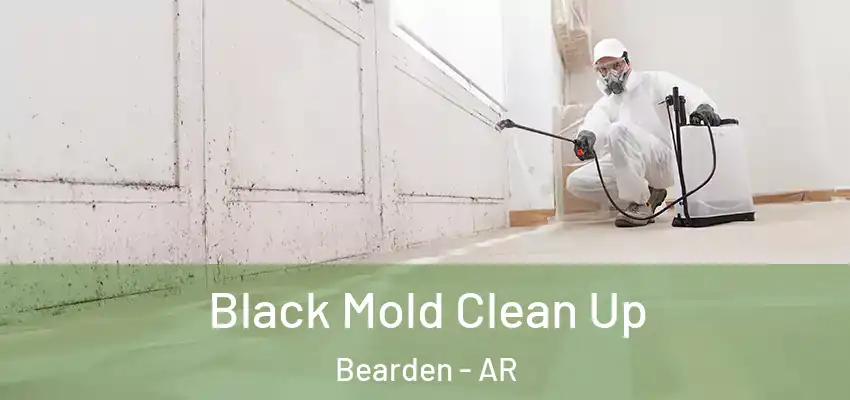  Black Mold Clean Up Bearden - AR