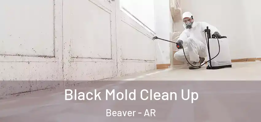 Black Mold Clean Up Beaver - AR