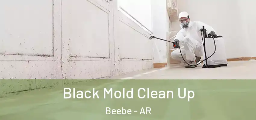  Black Mold Clean Up Beebe - AR