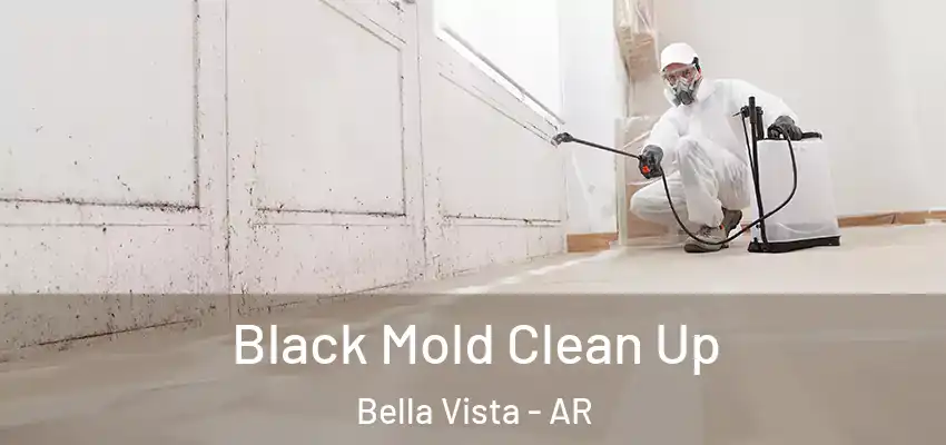  Black Mold Clean Up Bella Vista - AR