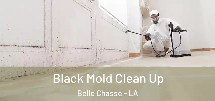  Black Mold Clean Up Belle Chasse - LA