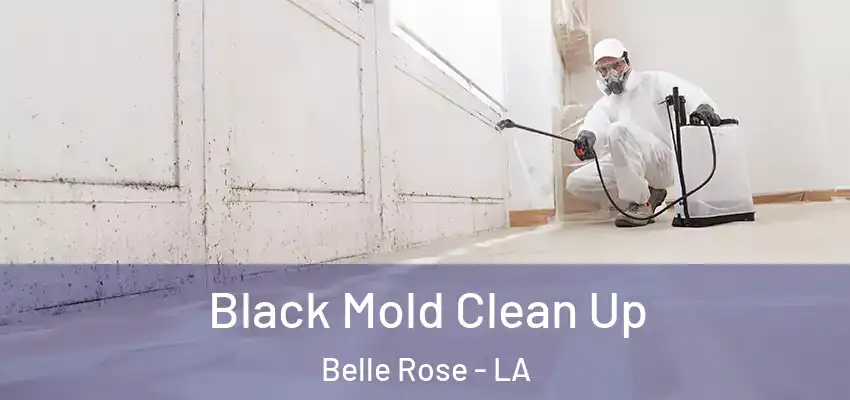  Black Mold Clean Up Belle Rose - LA