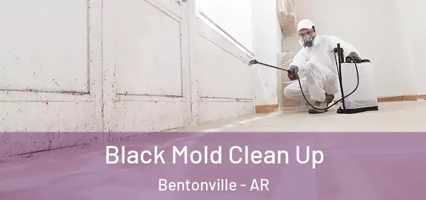  Black Mold Clean Up Bentonville - AR