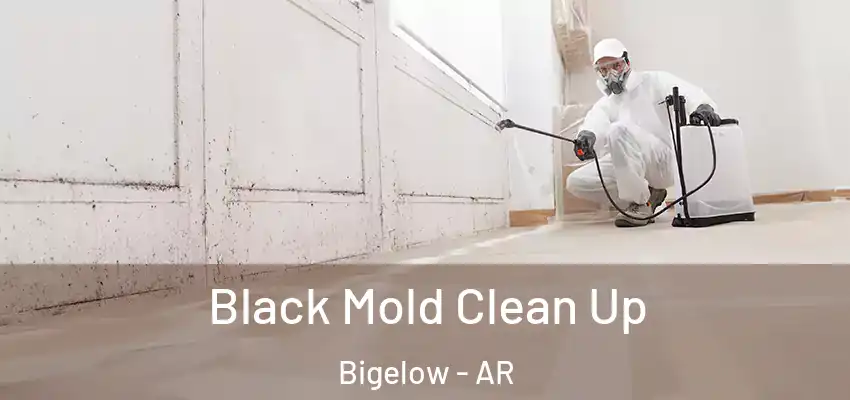 Black Mold Clean Up Bigelow - AR