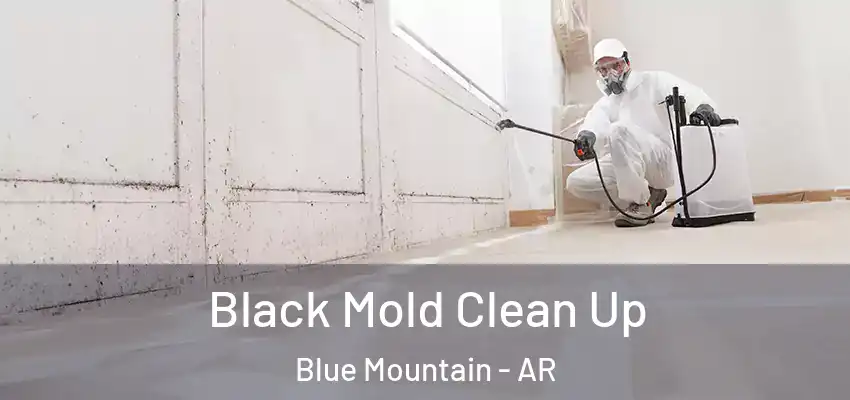 Black Mold Clean Up Blue Mountain - AR
