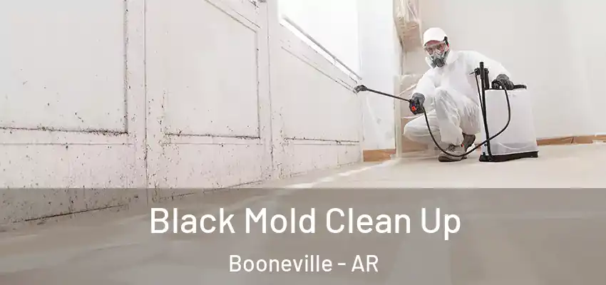  Black Mold Clean Up Booneville - AR