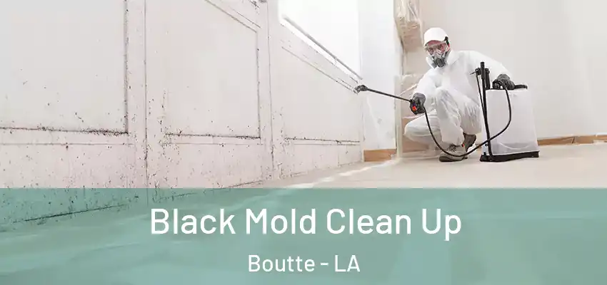  Black Mold Clean Up Boutte - LA