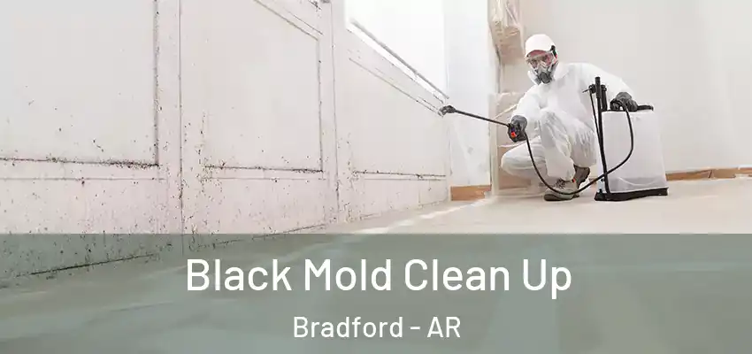 Black Mold Clean Up Bradford - AR