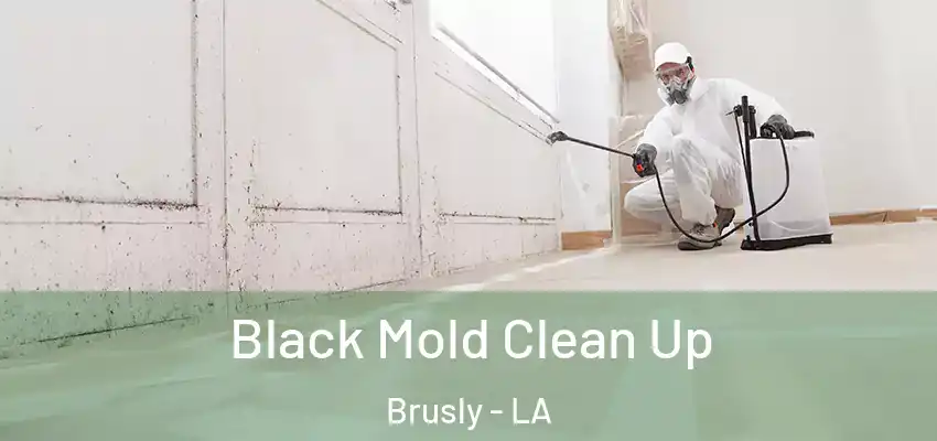  Black Mold Clean Up Brusly - LA