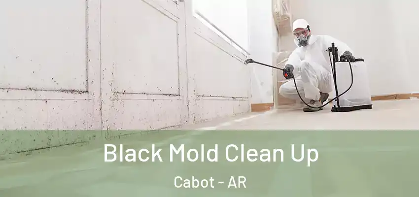 Black Mold Clean Up Cabot - AR