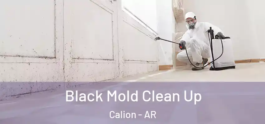  Black Mold Clean Up Calion - AR