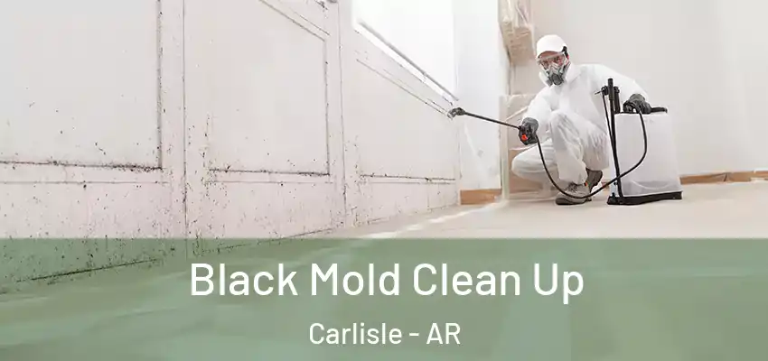  Black Mold Clean Up Carlisle - AR