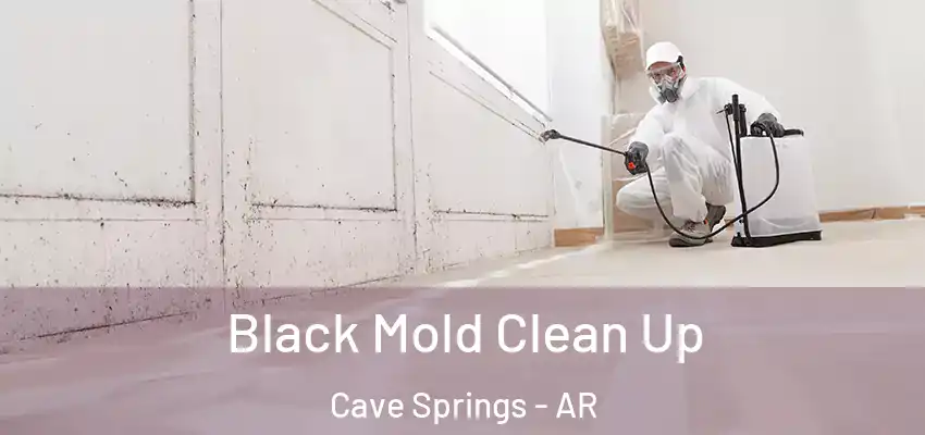 Black Mold Clean Up Cave Springs - AR