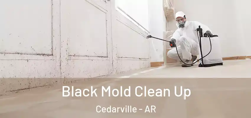 Black Mold Clean Up Cedarville - AR