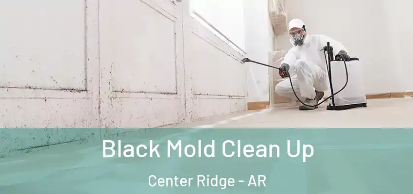  Black Mold Clean Up Center Ridge - AR