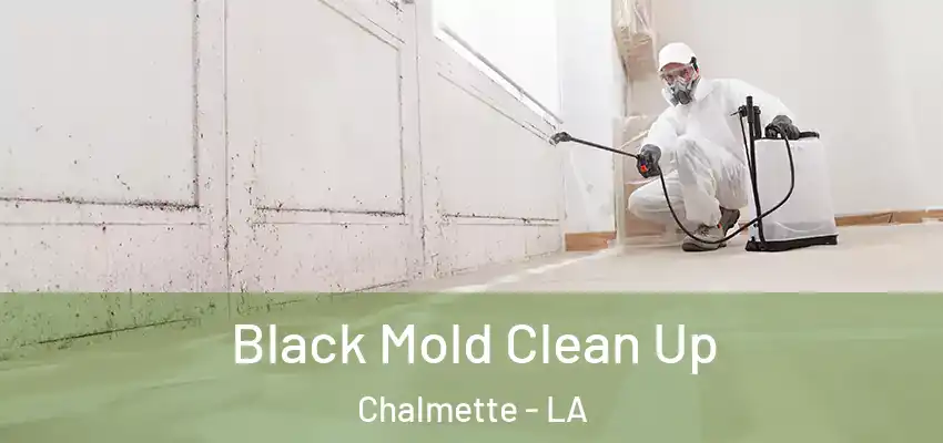  Black Mold Clean Up Chalmette - LA