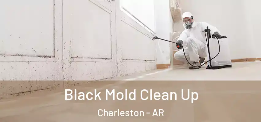 Black Mold Clean Up Charleston - AR