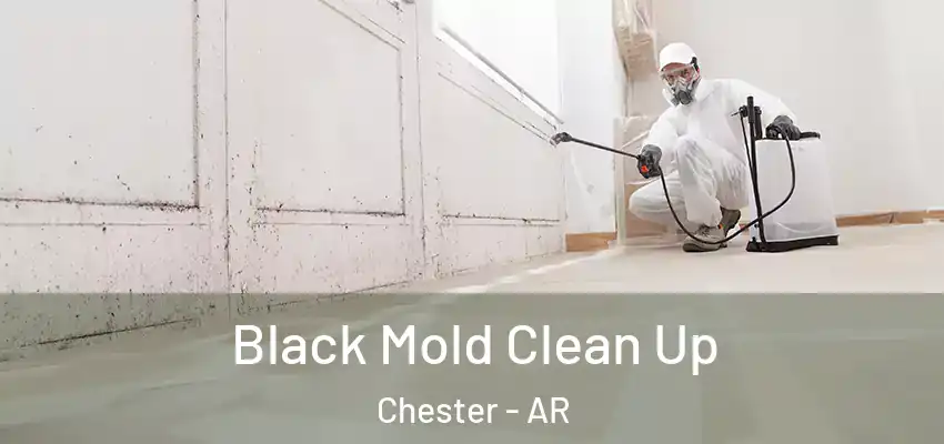  Black Mold Clean Up Chester - AR