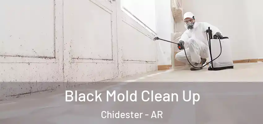  Black Mold Clean Up Chidester - AR