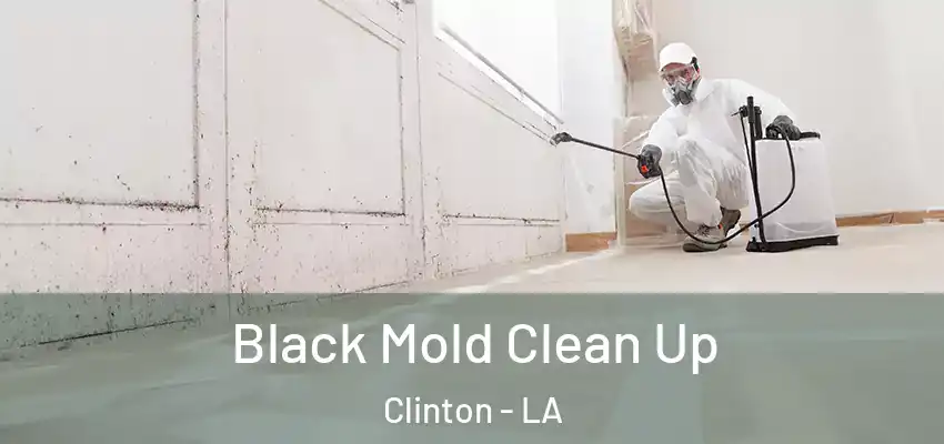  Black Mold Clean Up Clinton - LA