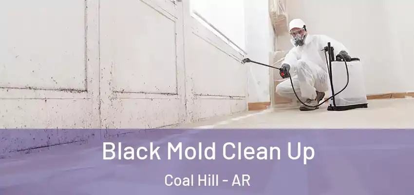  Black Mold Clean Up Coal Hill - AR
