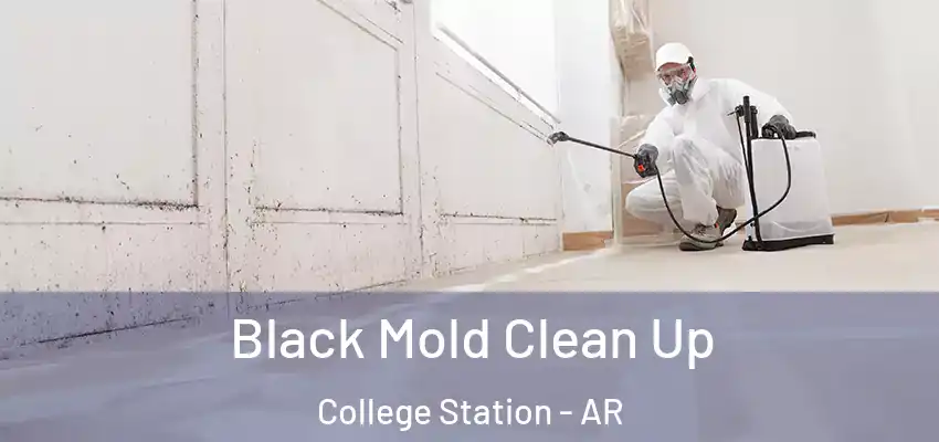  Black Mold Clean Up College Station - AR