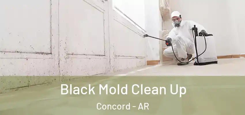  Black Mold Clean Up Concord - AR