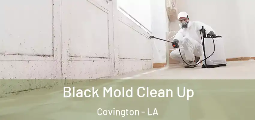 Black Mold Clean Up Covington - LA