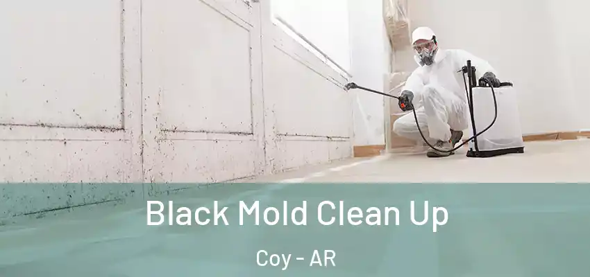  Black Mold Clean Up Coy - AR