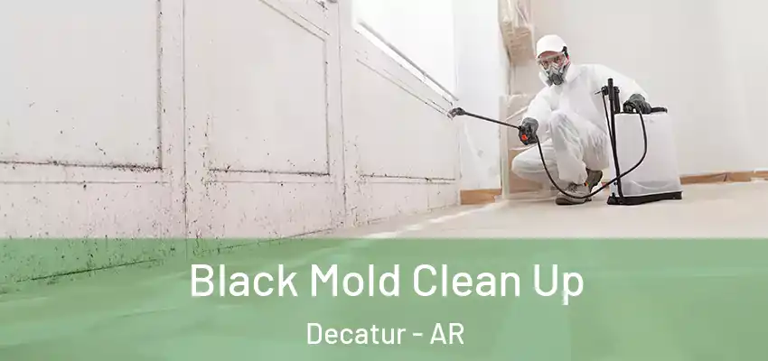  Black Mold Clean Up Decatur - AR