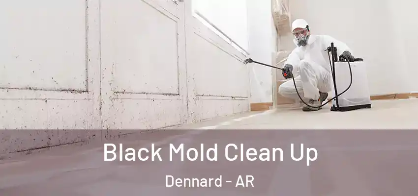  Black Mold Clean Up Dennard - AR