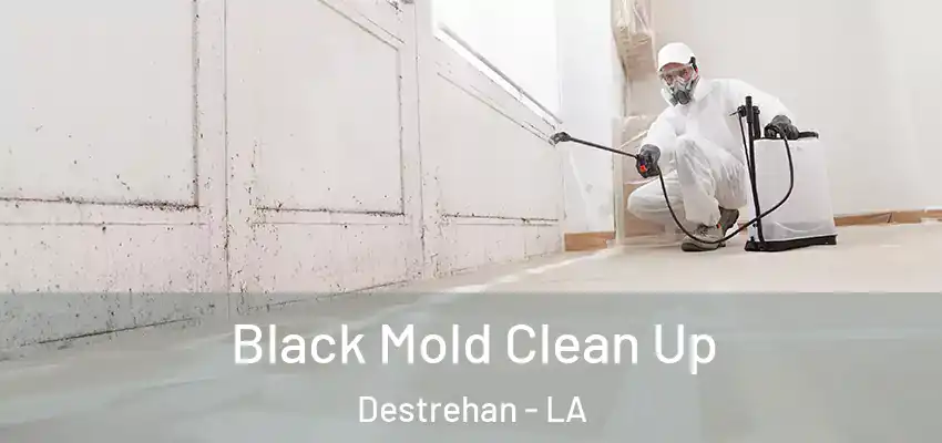 Black Mold Clean Up Destrehan - LA