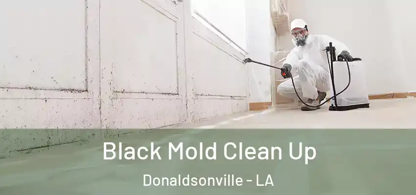  Black Mold Clean Up Donaldsonville - LA