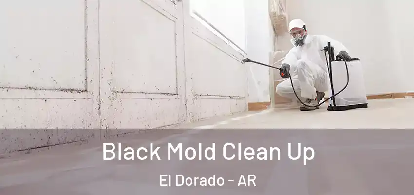  Black Mold Clean Up El Dorado - AR