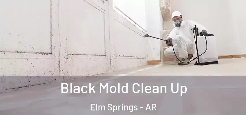  Black Mold Clean Up Elm Springs - AR
