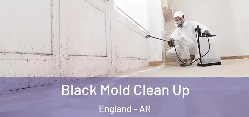  Black Mold Clean Up England - AR