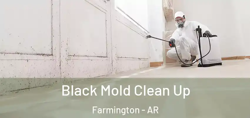  Black Mold Clean Up Farmington - AR