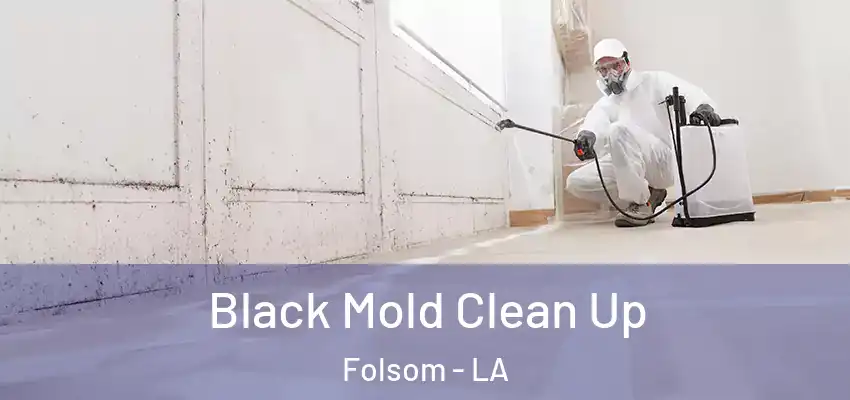  Black Mold Clean Up Folsom - LA