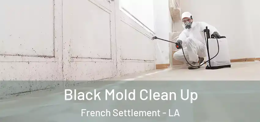  Black Mold Clean Up French Settlement - LA