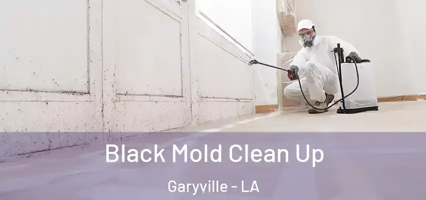  Black Mold Clean Up Garyville - LA