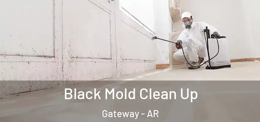  Black Mold Clean Up Gateway - AR