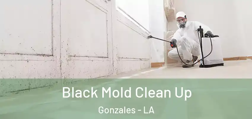  Black Mold Clean Up Gonzales - LA