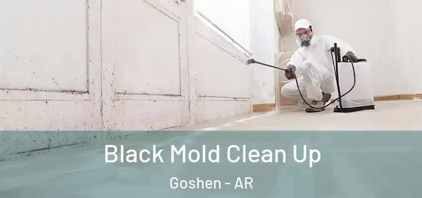  Black Mold Clean Up Goshen - AR